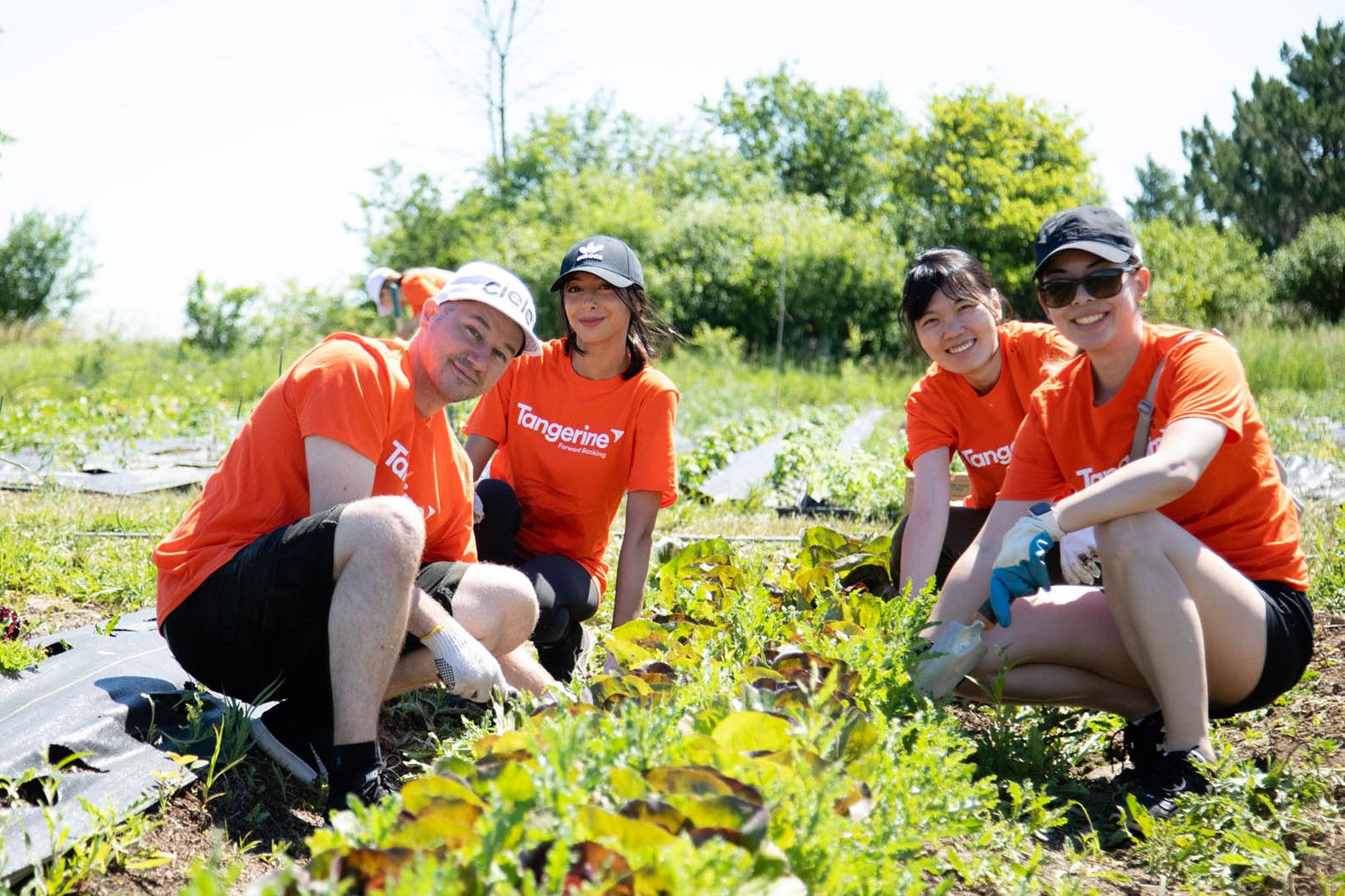 Des employés de Tangerine travaillent dans un jardin