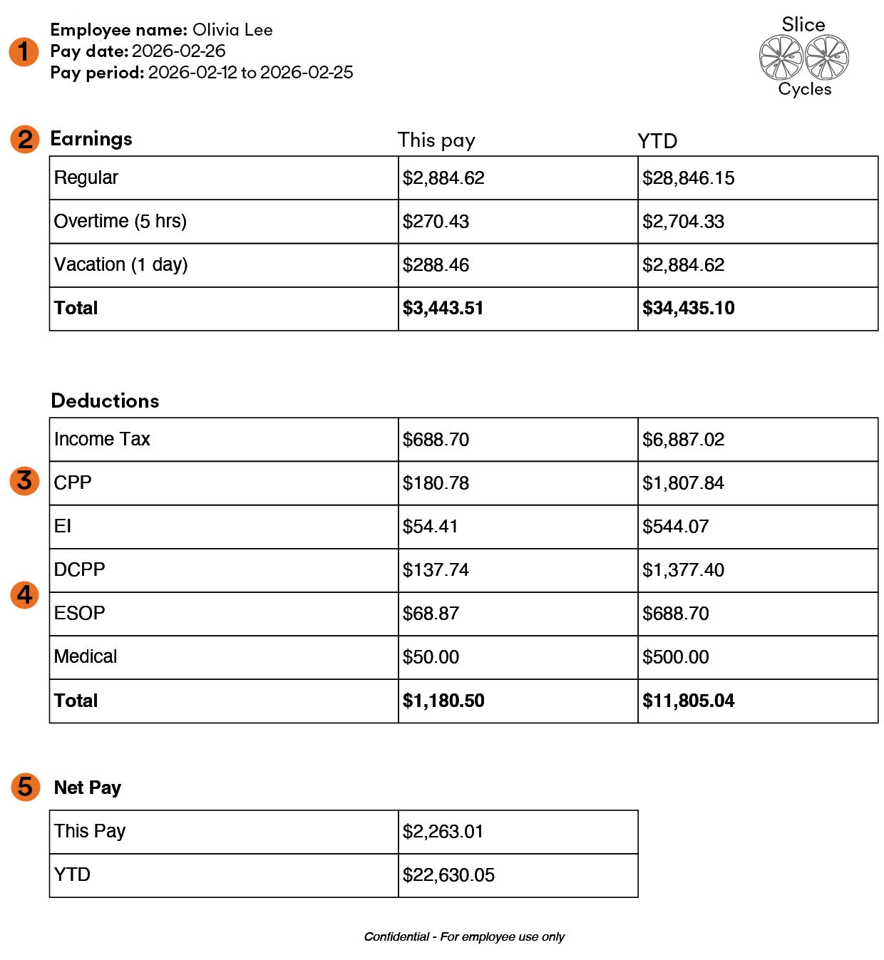 A sample pay stub of a fictional employee named Olivia Lee.