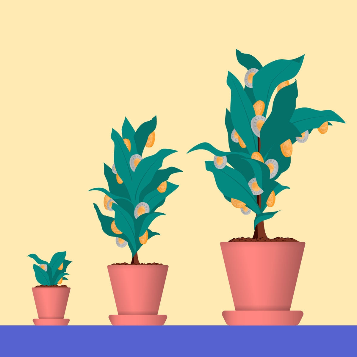 Illustration of three flower pots with plants of various sizes, with coins growing on the leaves.