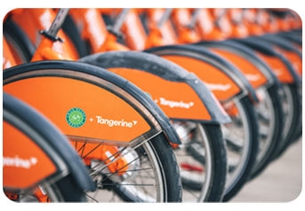 Chief Operations Officer