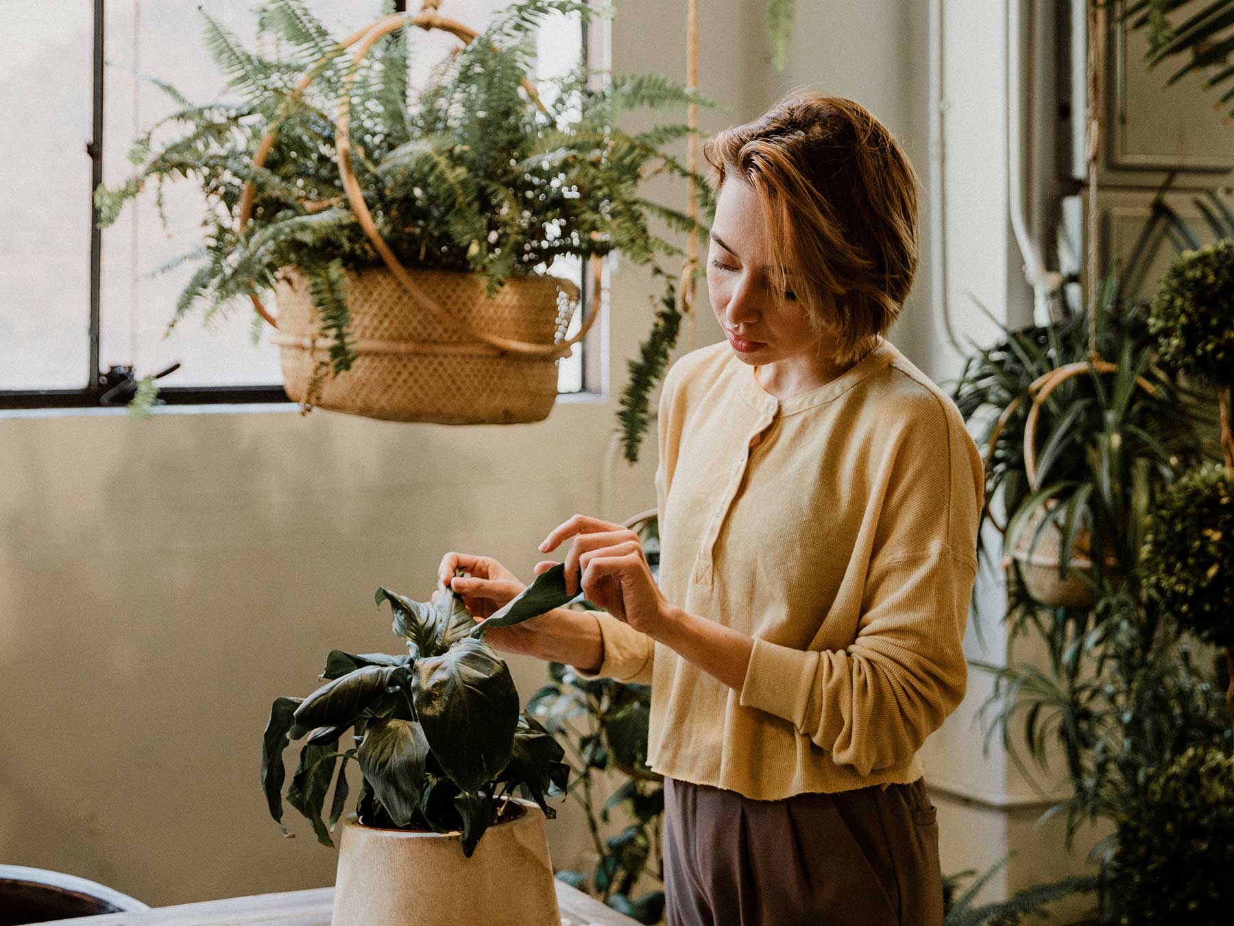 Une femme qui arrose une plante.