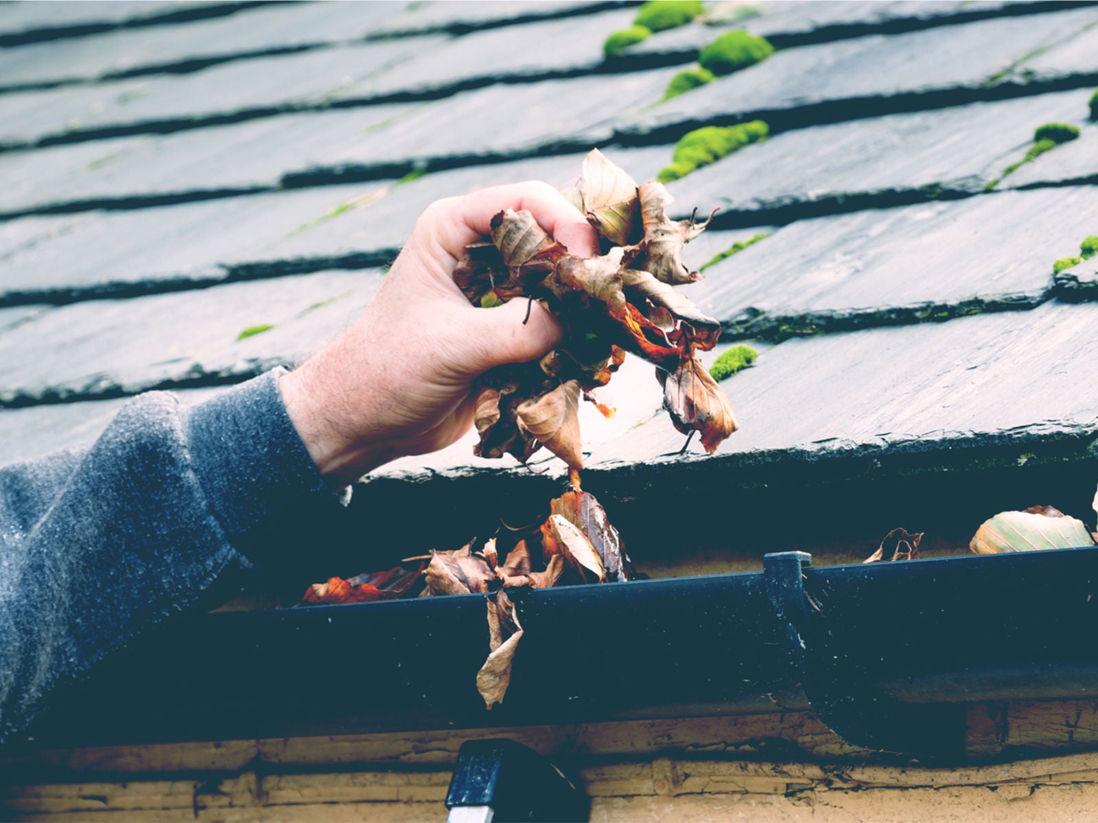 A hand clearing fallen leaves from an obstructed rain gutter on the side of a roof.