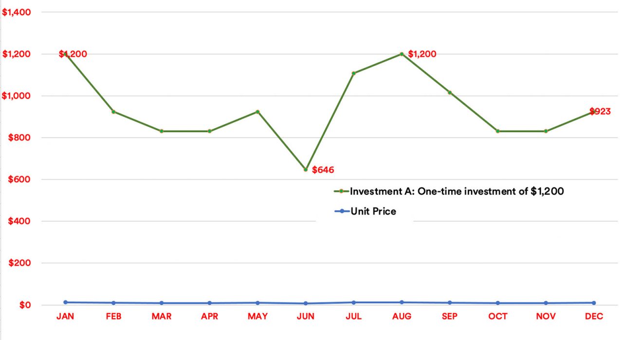 A graph showing an initial $1,200 investment in the hypothetical fund in January. The portfolio's value fluctuates throughout the year, and ends at $923.
