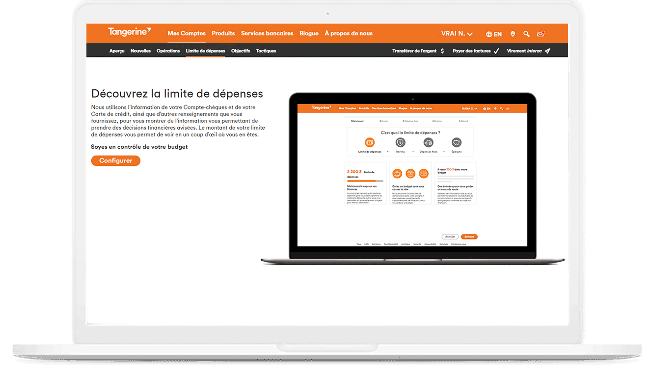 Capture d’écran 1 de l’outil Limite de dépenses