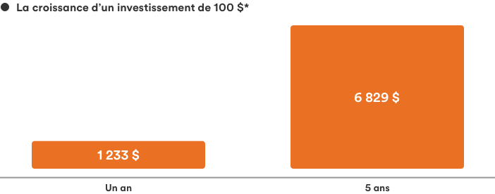 Graphique indiquant la croissance d'un investissement de 100 $ dans le temps, en supposant un rendement annuel de 5 %. AprÃ¨s un an, l'investissement a atteint 1â233 $â; aprÃ¨s cinq ans, il en est Ã  6â829 $.